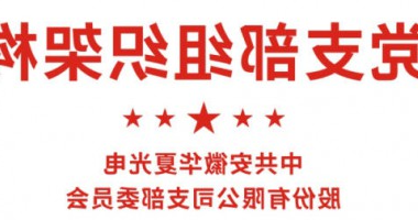 党支部组织架构